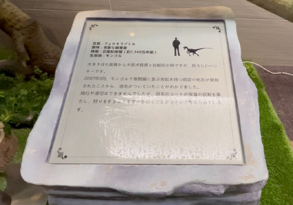 銘板型制御ボックス（正面）